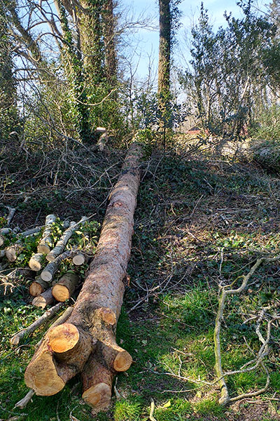 Storm Damage